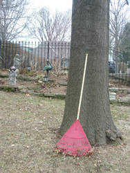 Raking Leaves