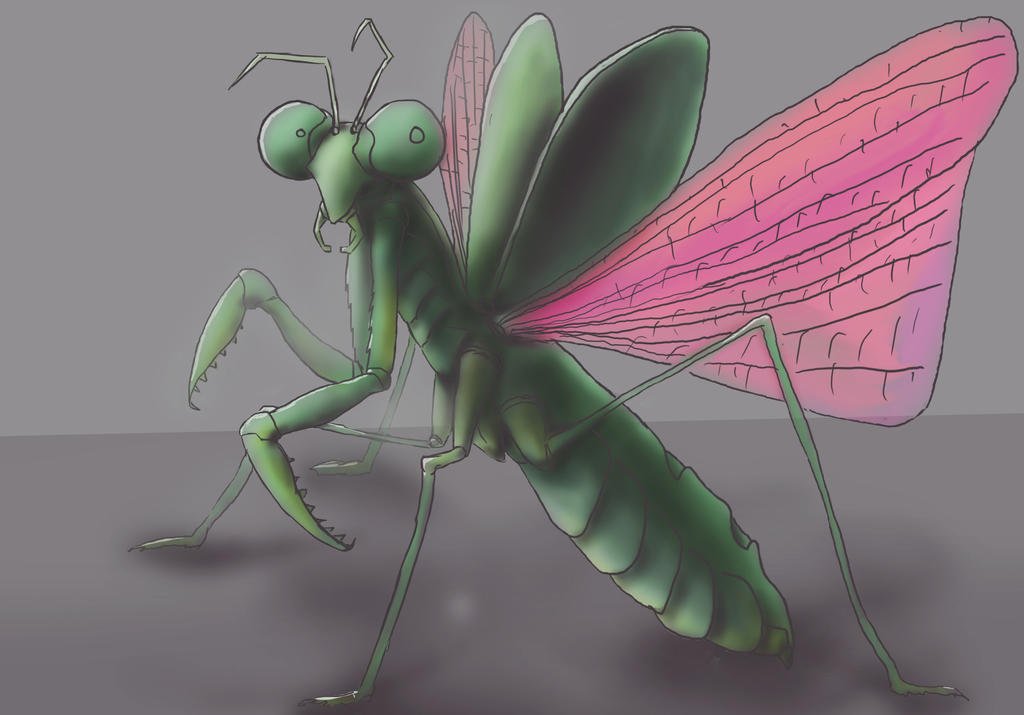 Mants Deviantart Mantis by CyberEnot on DeviantArt