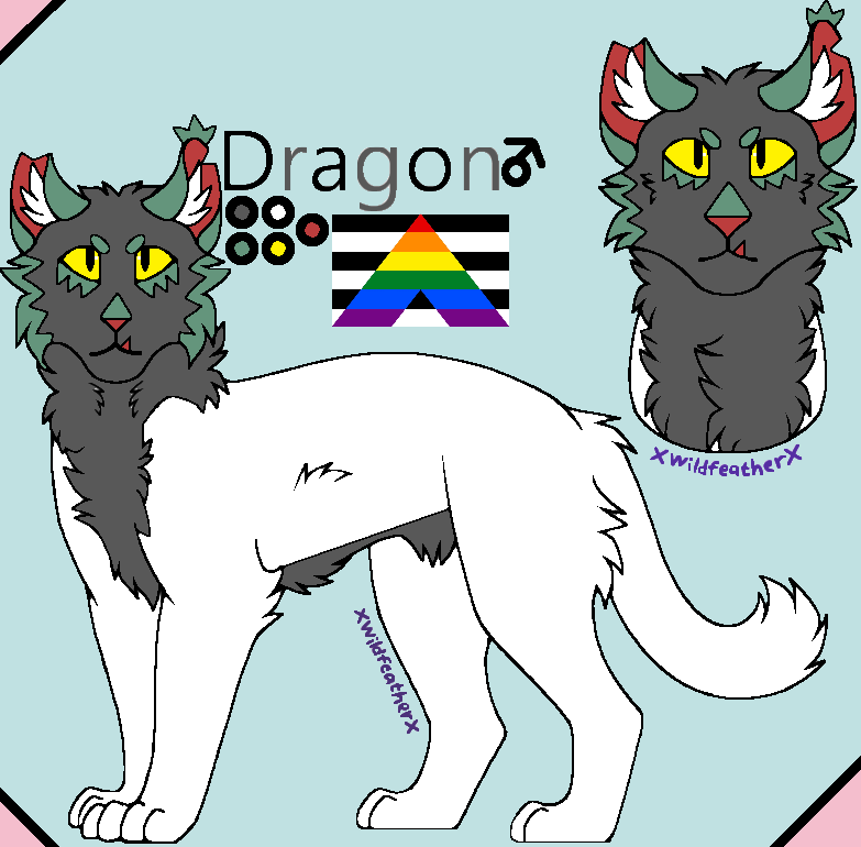 Archie Cat Dragon Dragon the cat by Eevee-Star on DeviantArt