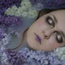 Lilac Ophelia I