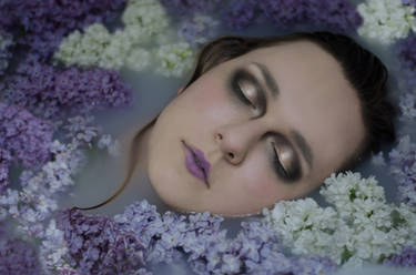 Lilac Ophelia I