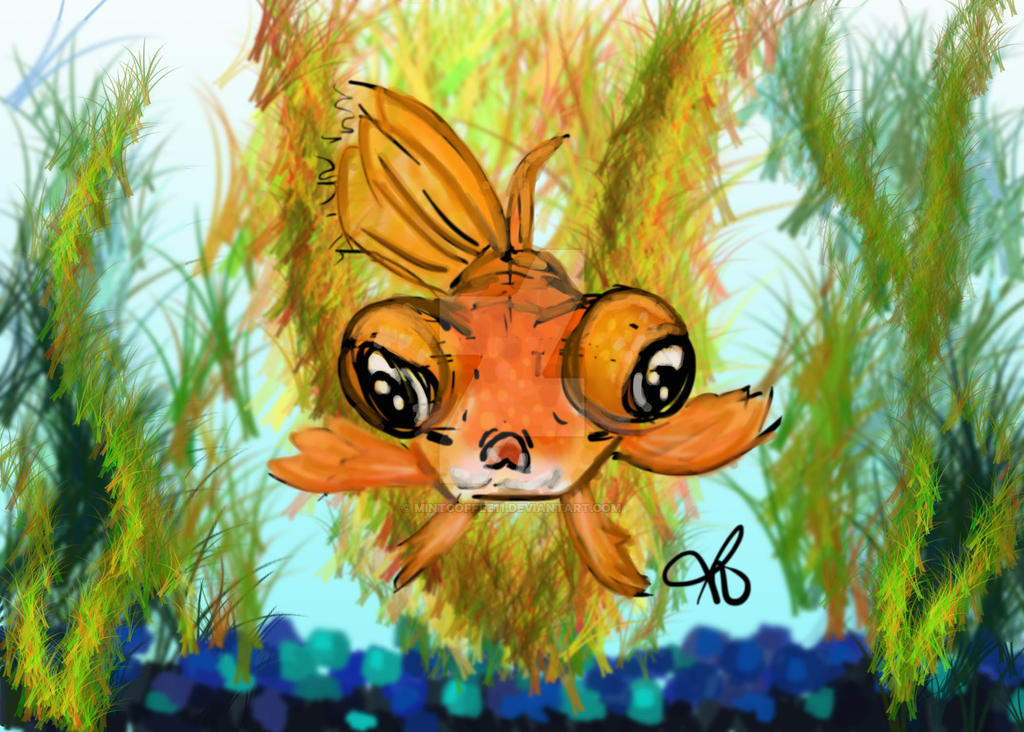 Deviantart 2007 Goldfish Goldfish by MintCoffee11 on DeviantArt