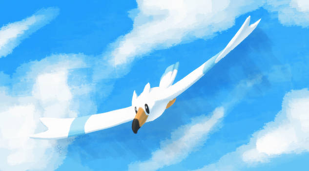 Explore the Best Wingull Art | DeviantArt