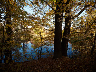 autumn lake