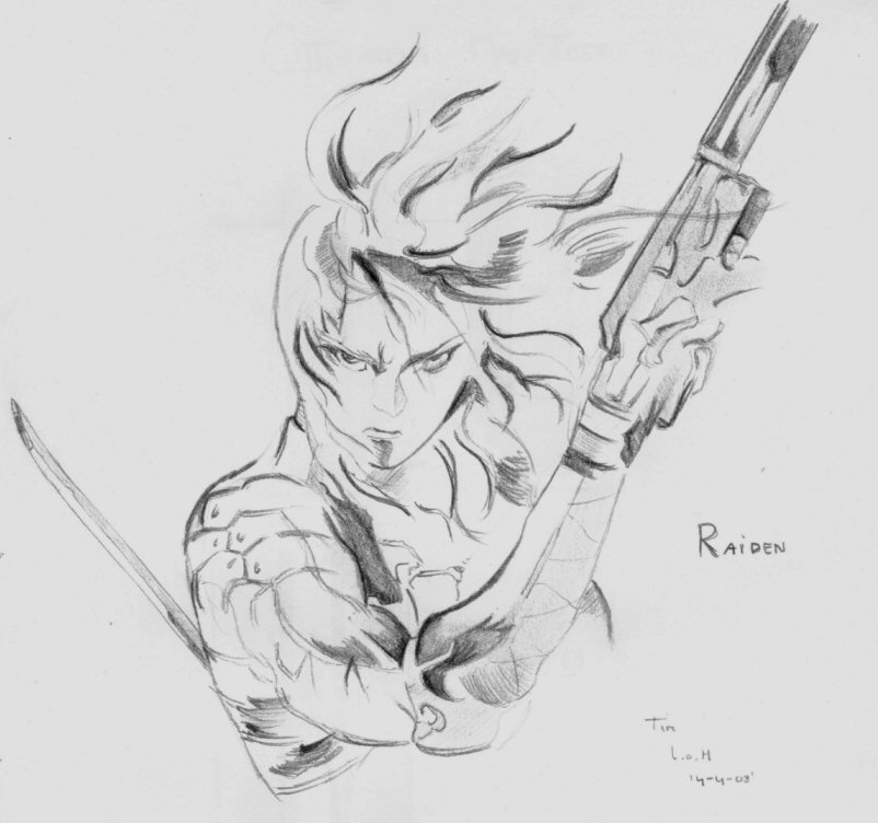 MGS Raiden Art