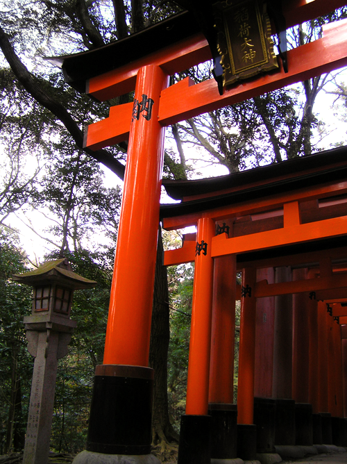 Torii