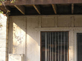 Attack of the Oak Worms