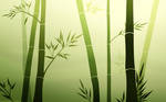 Bamboo Zen by MissNysha