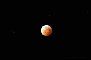 Lunar Eclipse 1