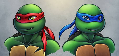 TMNT2012: Raphael and Leonardo
