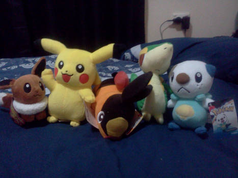 More Pokemon Plushies!