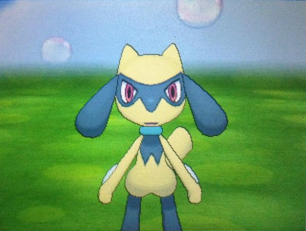 Shiny Riolu by AuraFlareRiolu on DeviantArt