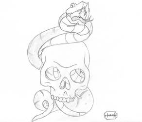 snake in skull