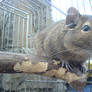 a Degu