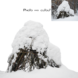 under snow