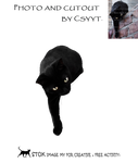 Cat Blac by Csyyt