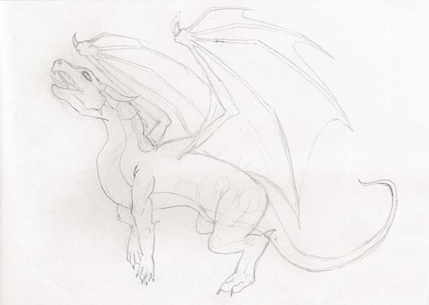 Dragon Scetch No 1 By LucindaRedfield On DeviantArt