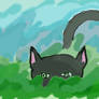 Ravenpaw