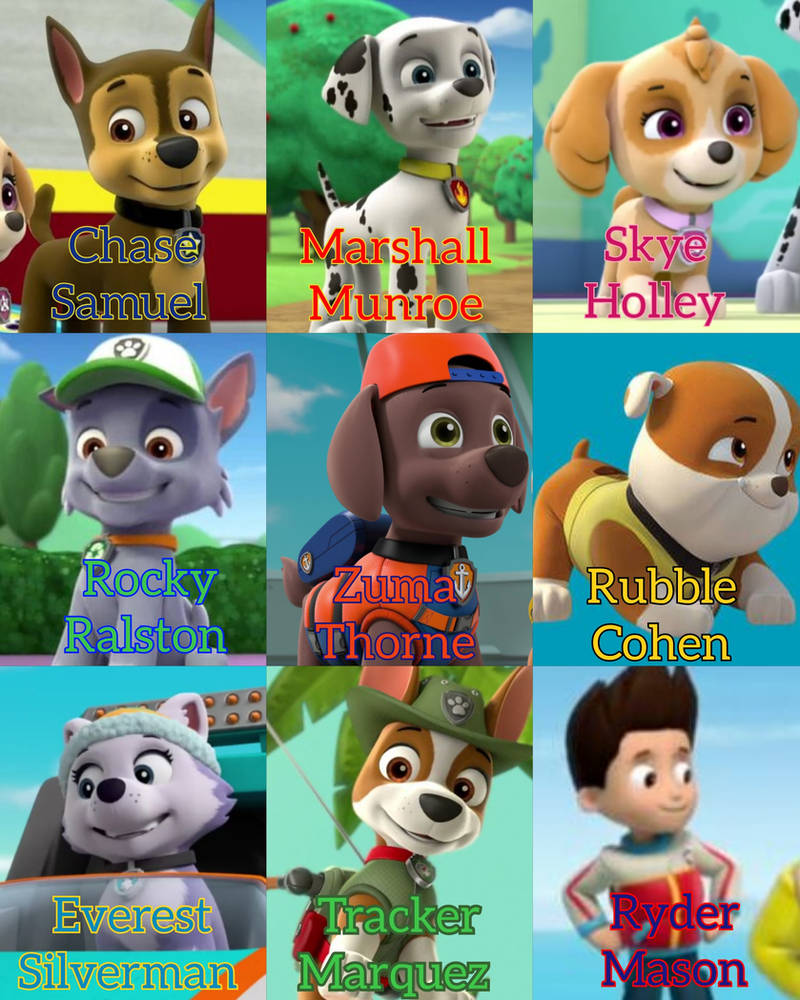 If The Pups And Ryder Had Last Names by OthaBland on DeviantArt