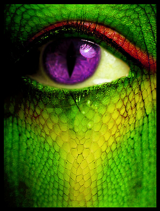 Reptile Eye