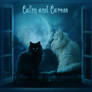 Calin and Caress