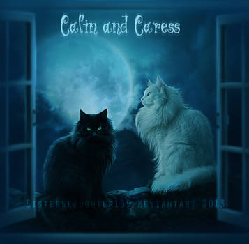 Calin and Caress by Sisterslaughter165