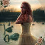 The Swan Girl