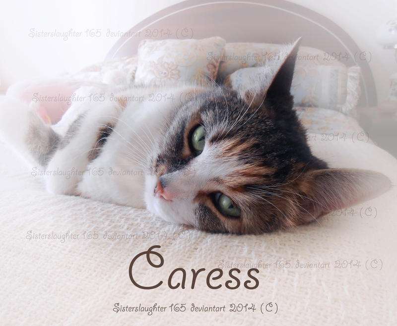 Caress by Sisterslaughter165