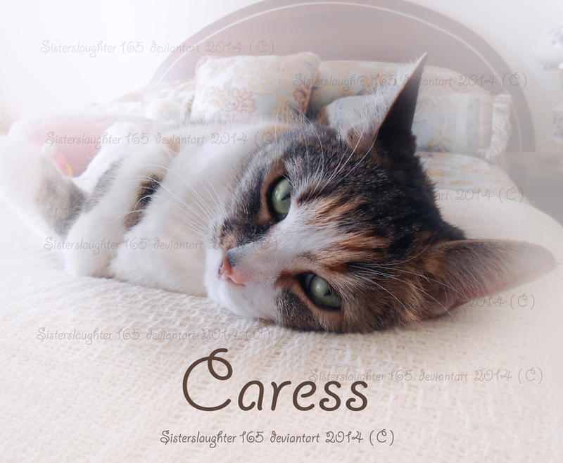 Caress by Sisterslaughter165 Caress by Sisterslaughter165