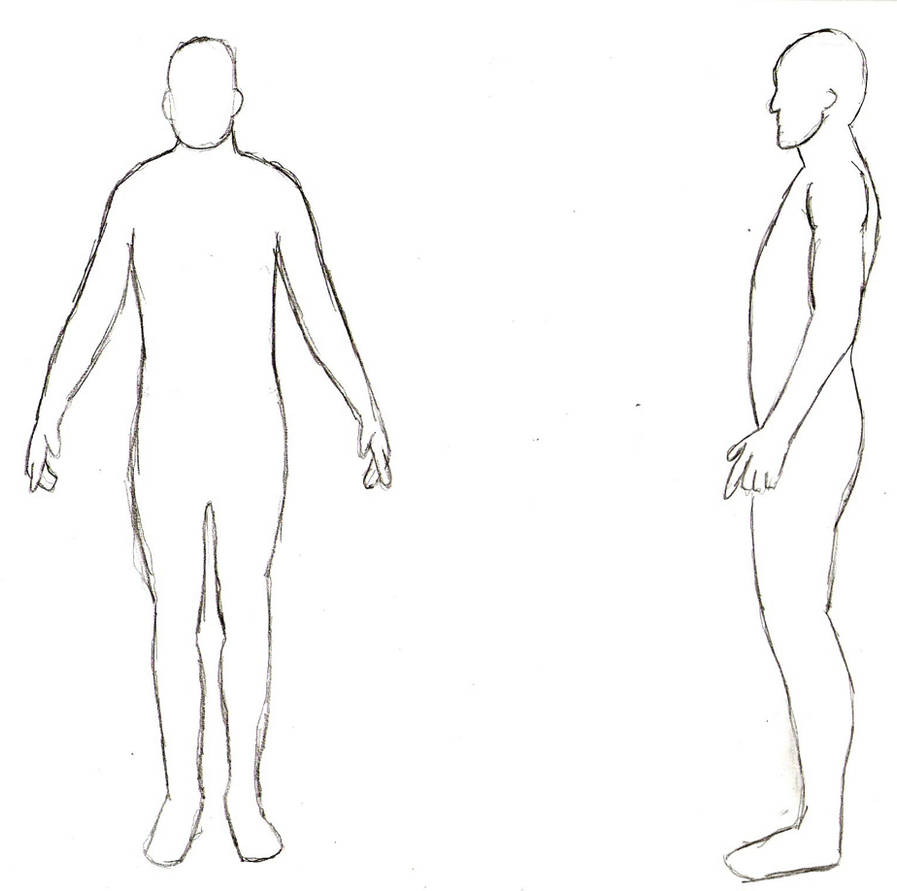 Body Template by Seanilius on DeviantArt