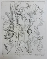 Botanical Etching