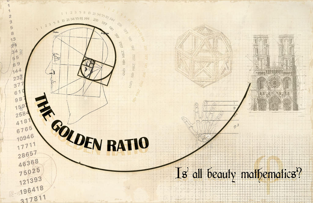 The Golden Ratio by crocusgirl