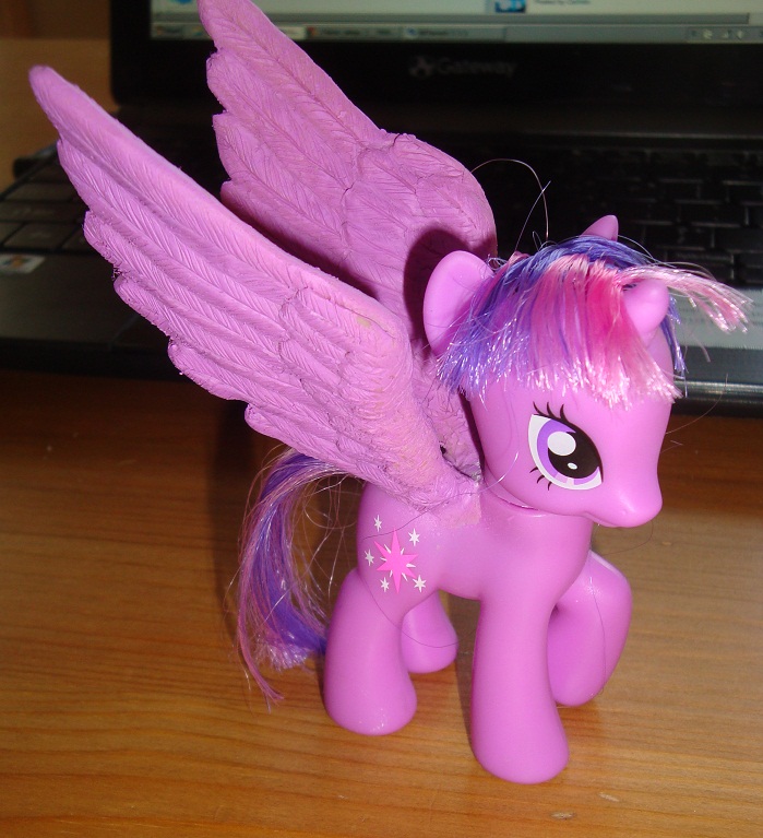 Custom MLP: Alicorn Twilight