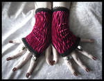 Rose Velvet Fingerless Gloves by ZenAndCoffee