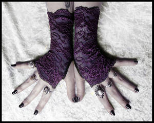 Lomion Lace Fingerless Gloves