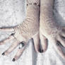 Idyll Lace Fingerless Gloves