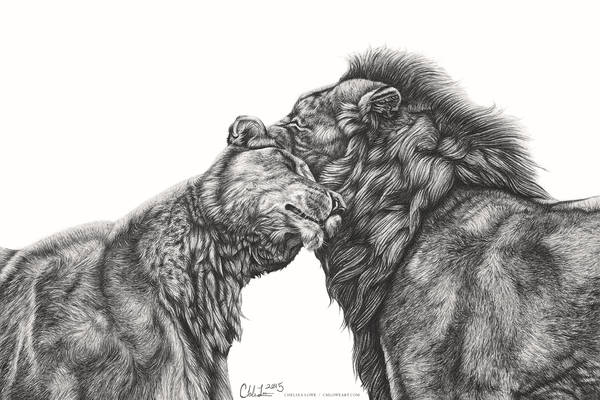 Lion Love