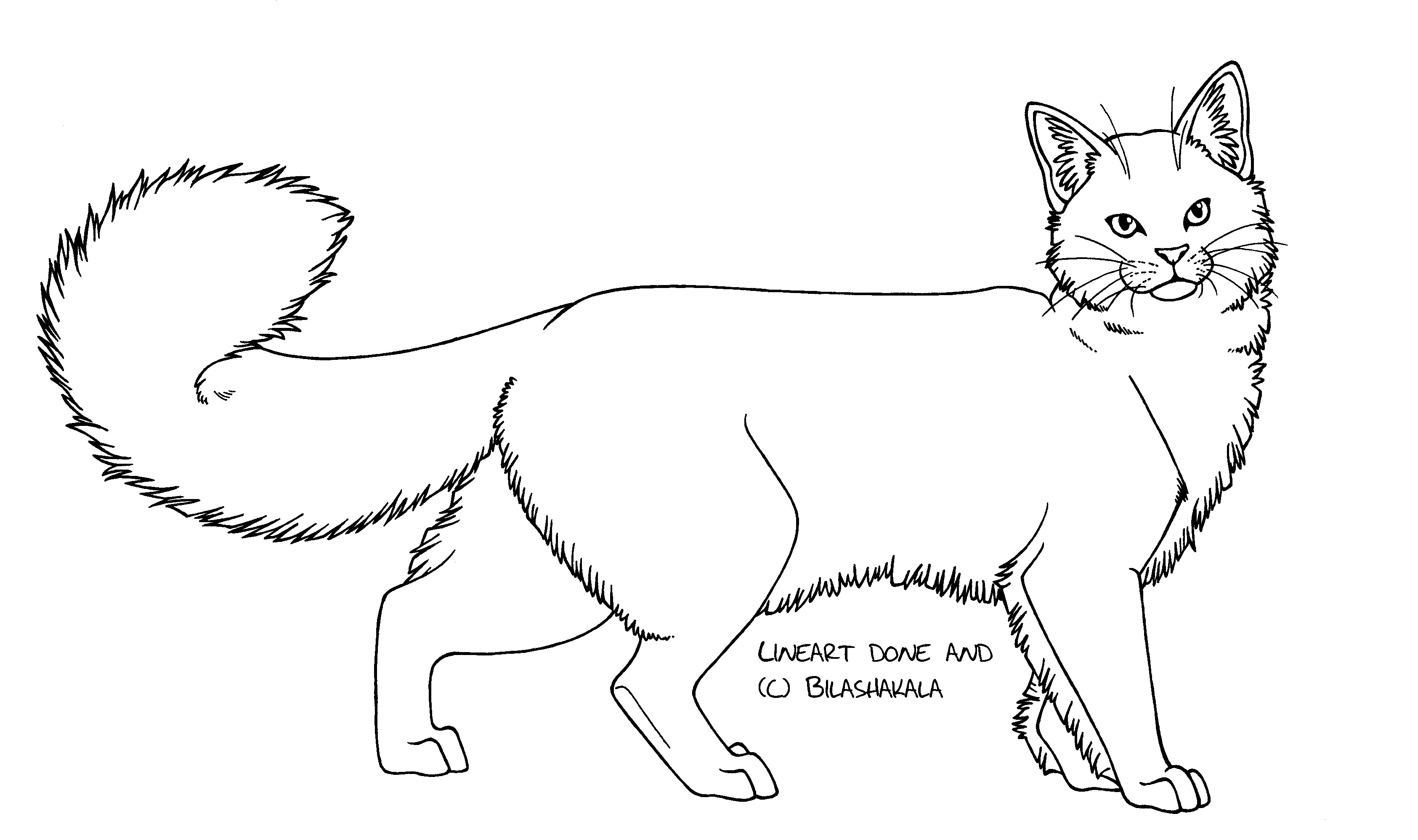Image Example Cats Bmp :Free Cat LineArt BMP: by Bilashakala on DeviantArt