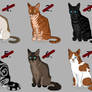 Cat Point Adoptables 4 - CLOSED