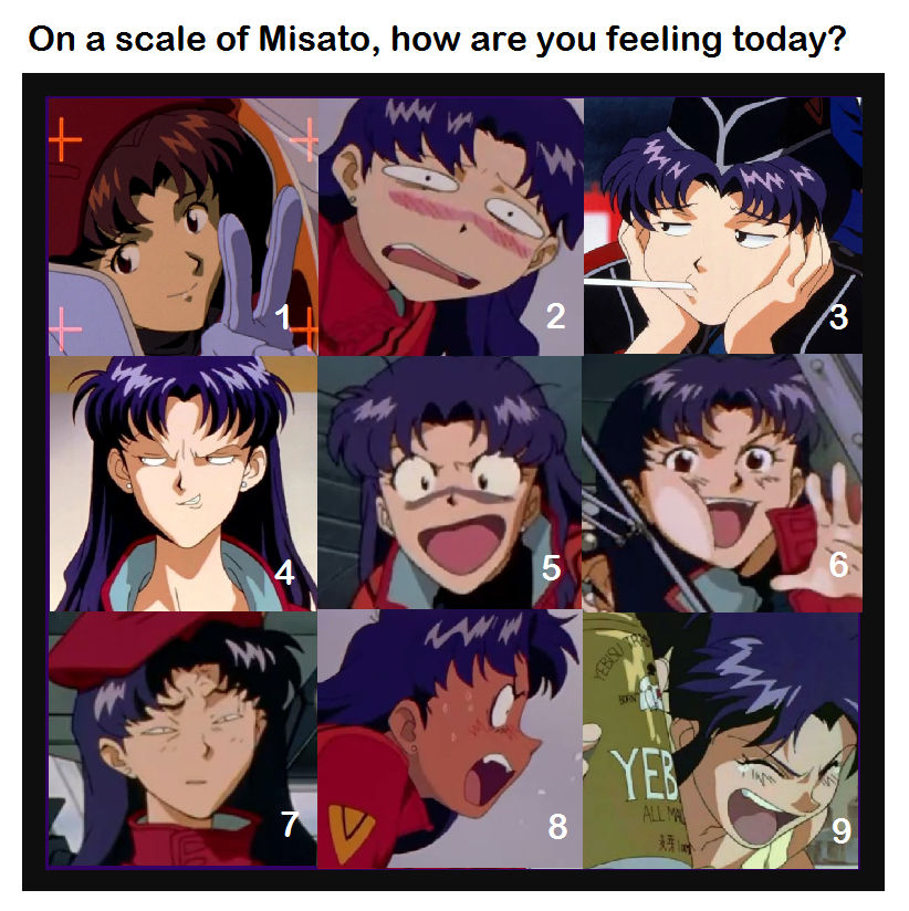 On The Scale Of Misato How Are You Feeling Today By Gunplanerd97 On Deviantart