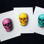 Skulls