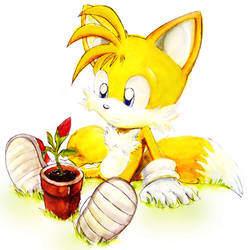 Tails and Cosmo