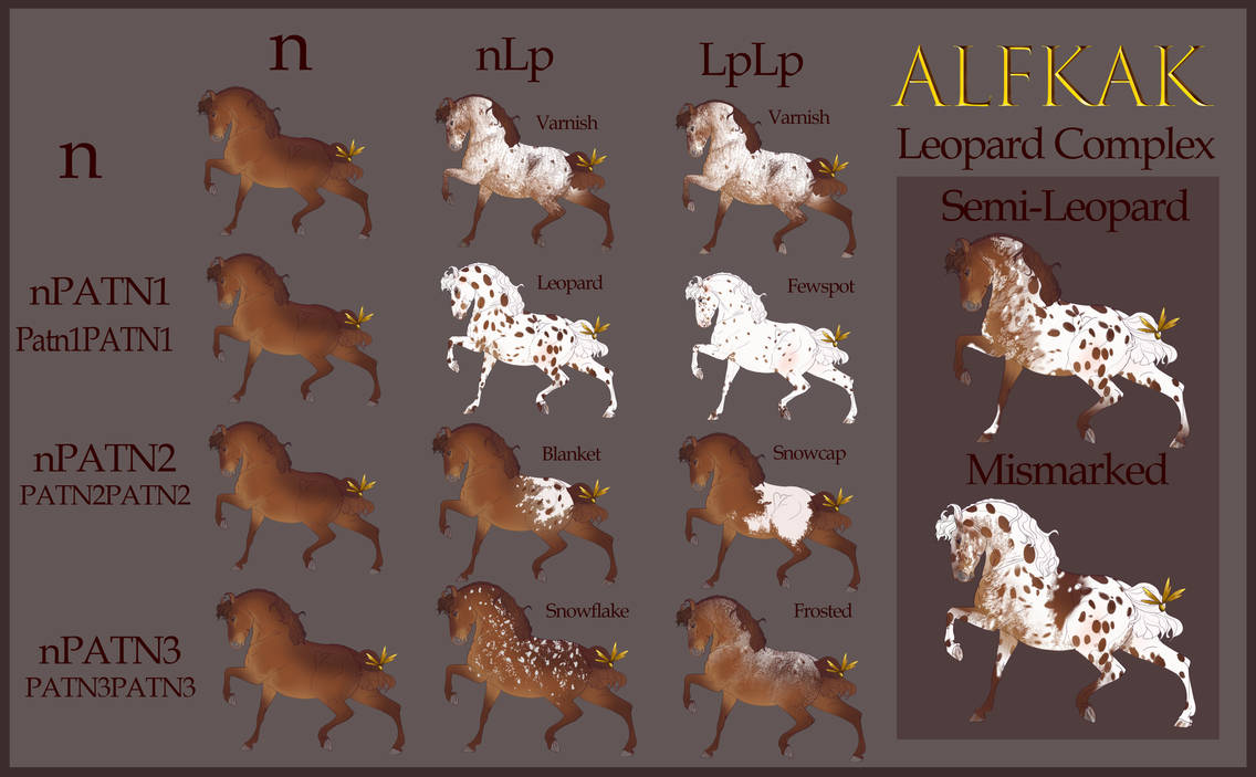 Alfkak Leopard Complex Guide by Alfkak-Admin on DeviantArt