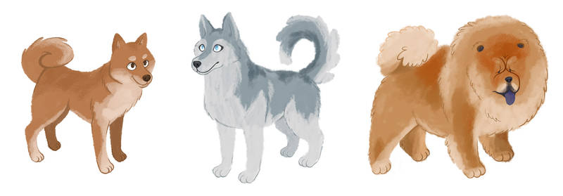 Floofy Dogs