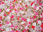 Pink Floral Texture by nopromises-stock