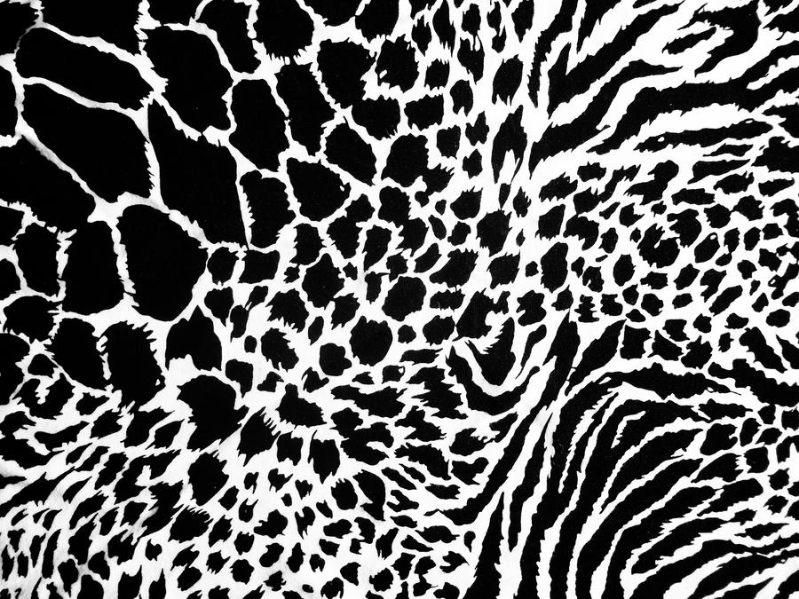 Animal Print Fabric Texture