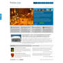 Business Corp Template