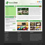 Green Clean Business Template