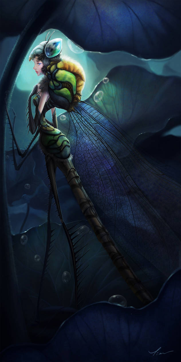 Dragonfly by yangtianli on DeviantArt
