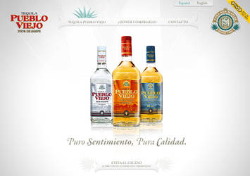 tequila pueblo viejo webdesign